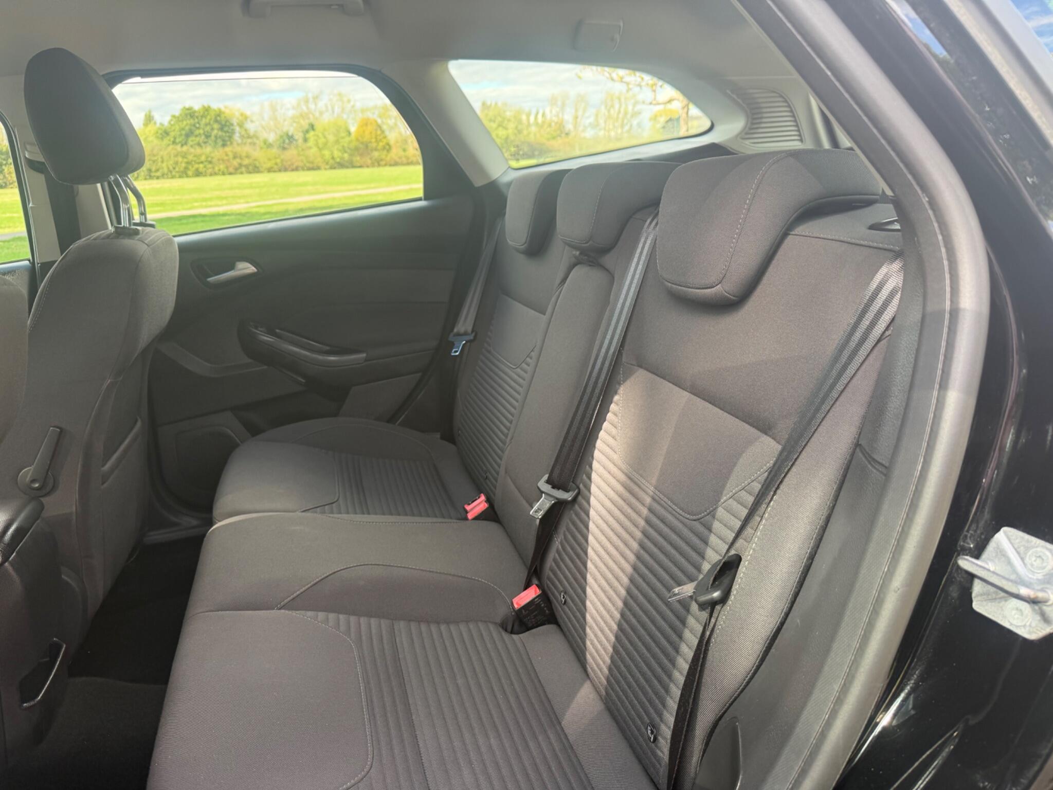 Seats Rear